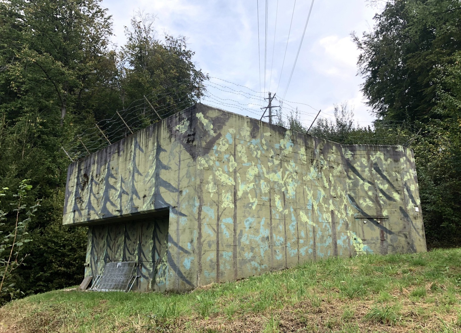 Infanteriebunker Kirchtannen im Wald